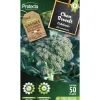 Protecta Graines De Légumes Et Aromatiques | - Graines paysannes - chou brocoli à jets verts calabrais