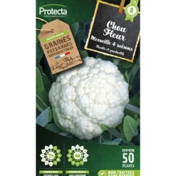 Protecta Graines De Légumes Et Aromatiques | - Graines paysannes - chou fleur merveille de toutes saisons