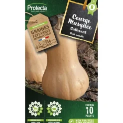 Protecta Graines De Légumes Et Aromatiques | - Graines paysannes - courge musquée butternut