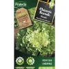 Protecta Graines De Légumes Et Aromatiques | - Graines paysannes - chicorée scarole géante maraichère