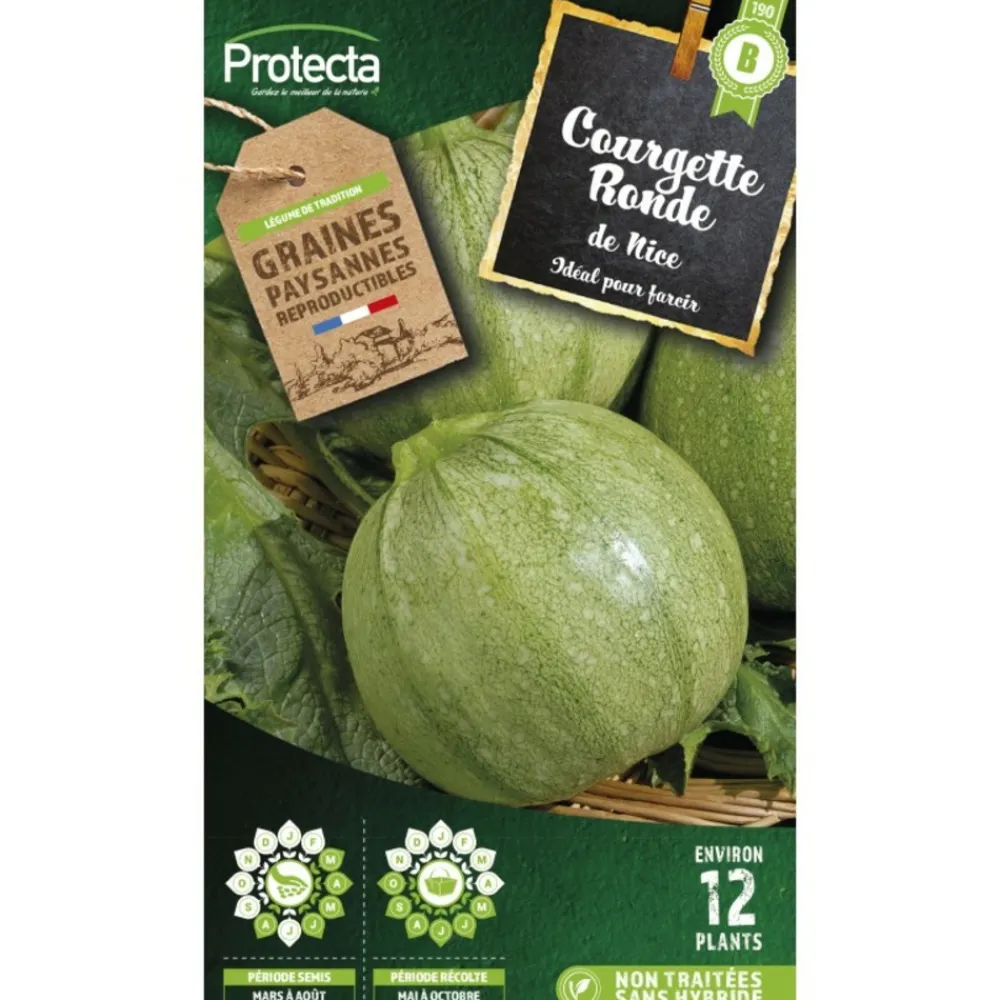 Protecta - Graines paysannes - courgette de nice à fruit rond New