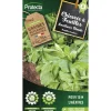 Protecta Graines De Légumes Et Aromatiques | - Graines paysannes - chicorée améliorée blonde