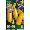 Protecta Graines De Légumes Et Aromatiques | - Graines paysannes - courgette jaune