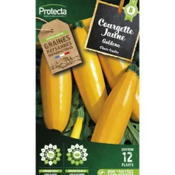 Protecta Graines De Légumes Et Aromatiques | - Graines paysannes - courgette jaune