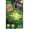 Protecta Graines De Légumes Et Aromatiques | - Graines paysannes - chicorée scarole verte à cœur plein