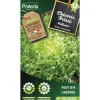 Protecta - Graines paysannes - chicorée frisée wallonne Outlet