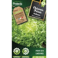 Protecta - Graines paysannes - chicorée frisée wallonne Outlet