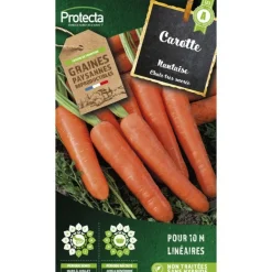 Protecta - Graines paysannes - carotte nantaise améliorée