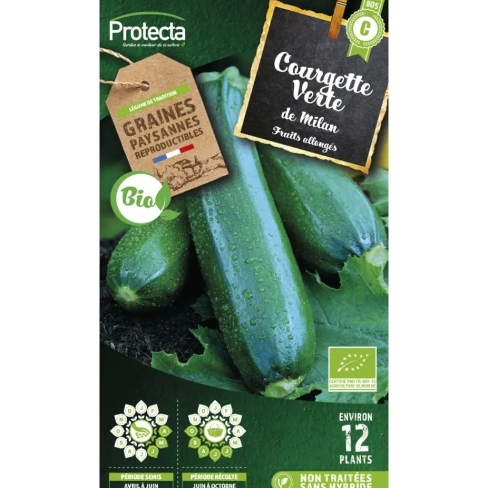 Protecta Graines De Légumes Et Aromatiques | - Graines paysannes - courgette verte de milan bio