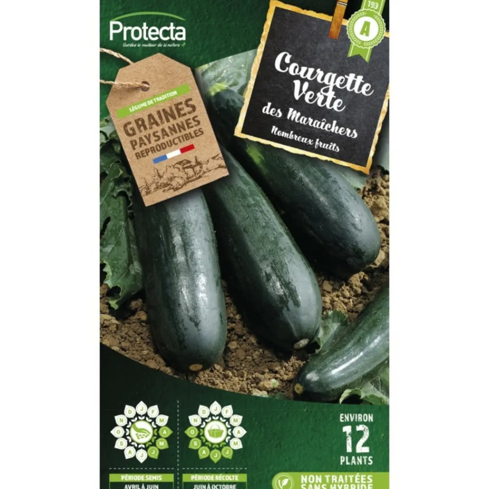 Protecta Graines De Légumes Et Aromatiques | - Graines paysannes - courgette verte des maraîchers