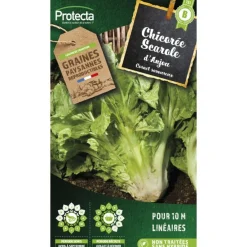 Protecta Graines De Légumes Et Aromatiques | - Graines paysannes - chicorée scarole en cornet d'anjou