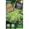 Protecta Graines De Légumes Et Aromatiques | - Graines paysannes - chicorée frisée de ruffec