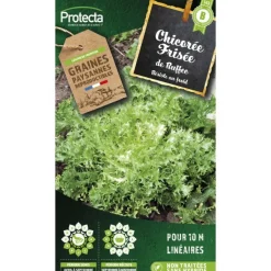 Protecta Graines De Légumes Et Aromatiques | - Graines paysannes - chicorée frisée de ruffec