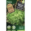 Protecta Graines De Légumes Et Aromatiques | - Graines paysannes - chicorée frisée grosse pommant seule