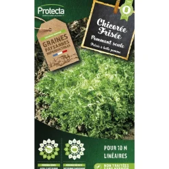 Protecta Graines De Légumes Et Aromatiques | - Graines paysannes - chicorée frisée grosse pommant seule