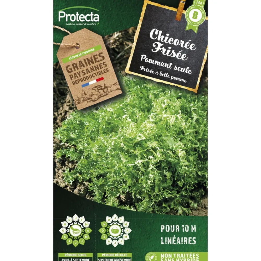Protecta Graines De Légumes Et Aromatiques | - Graines paysannes - chicorée frisée grosse pommant seule