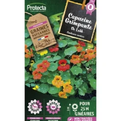 Protecta - Graines paysannes - capucine grande simple de lobb New