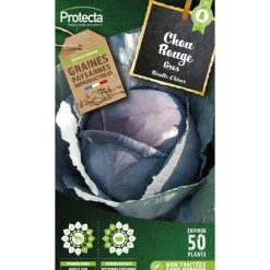 Protecta - Graines paysannes - chou rouge gros Discount