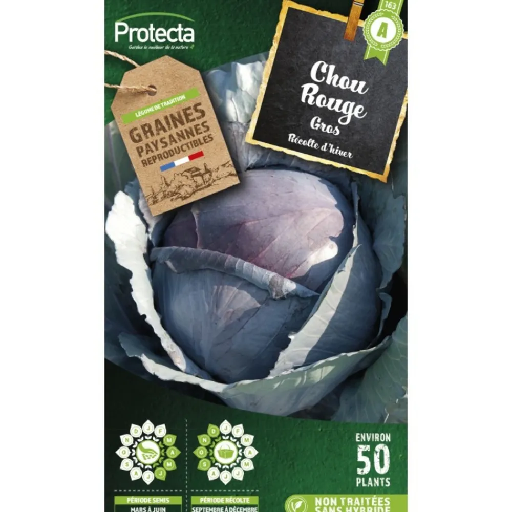 Protecta - Graines paysannes - chou rouge gros Discount