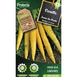 Protecta - Graines paysannes - carotte jaune obtuse du doubs