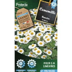 Protecta - Graines paysannes - camomille romaine Online