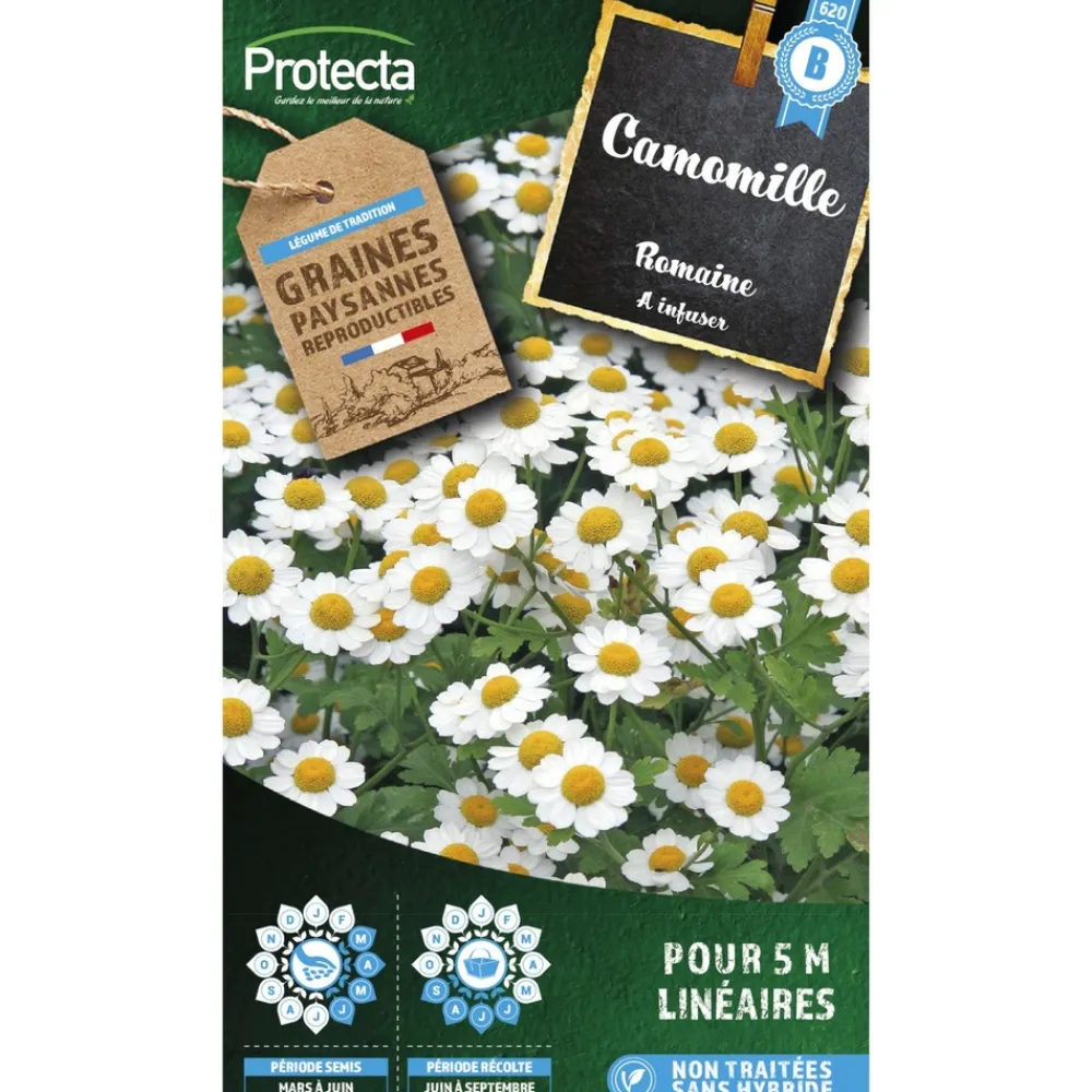 Protecta - Graines paysannes - camomille romaine Online