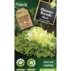 Protecta Graines De Légumes Et Aromatiques | - Graines paysannes - chicorée scarole blonde à cœur plein