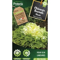 Protecta Graines De Légumes Et Aromatiques | - Graines paysannes - chicorée scarole blonde à cœur plein
