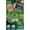Protecta - Graines paysannes - coriandre cultivée Hot