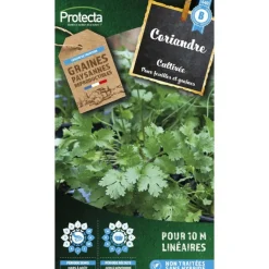 Protecta - Graines paysannes - coriandre cultivée Hot