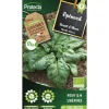 Protecta - Graines paysannes - epinard geant d'hiver bio Outlet