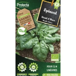 Protecta - Graines paysannes - epinard geant d'hiver bio Outlet