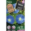 Protecta - Graines paysannes - ipomée grimpante à fleur bleue New