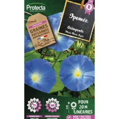 Protecta - Graines paysannes - ipomée grimpante à fleur bleue New