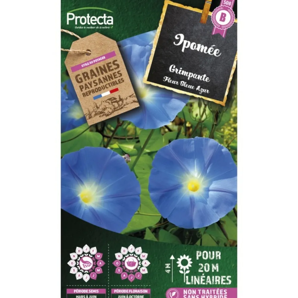 Protecta - Graines paysannes - ipomée grimpante à fleur bleue New