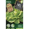 Protecta Graines De Légumes Et Aromatiques | - Graines paysannes - laitue merveille d'hiver