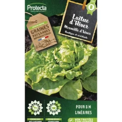 Protecta Graines De Légumes Et Aromatiques | - Graines paysannes - laitue merveille d'hiver