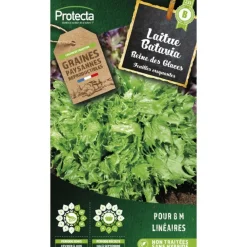 Protecta Graines De Légumes Et Aromatiques | - Graines paysannes - laitue batavia reine des glaces
