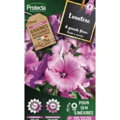 Protecta - Graines paysannes - lavatère à grande fleur Hot