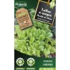 Protecta - Graines paysannes - laitue à couper feuille de chêne blonde Sale