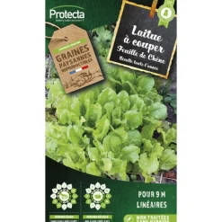 Protecta - Graines paysannes - laitue à couper feuille de chêne blonde Sale