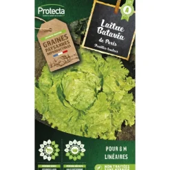 Protecta - Graines paysannes - laitue batavia blonde de paris Clearance