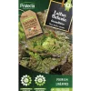Protecta - Graines paysannes - laitue batavia rouge grenobloise Hot