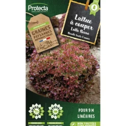 Protecta Graines De Légumes Et Aromatiques | - Graines paysannes - laitue à couper frisée lollo rossa