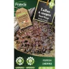 Protecta Graines De Légumes Et Aromatiques | - Graines paysannes - laitue à couper red salad bowl