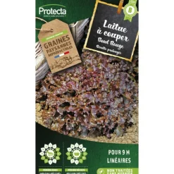 Protecta Graines De Légumes Et Aromatiques | - Graines paysannes - laitue à couper red salad bowl