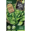 Protecta Graines De Légumes Et Aromatiques | - Graines paysannes - laitue pommée appia