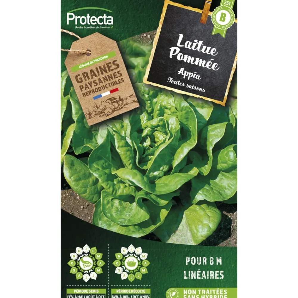 Protecta Graines De Légumes Et Aromatiques | - Graines paysannes - laitue pommée appia