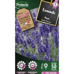 Protecta - Graines paysannes - lavande vraie New