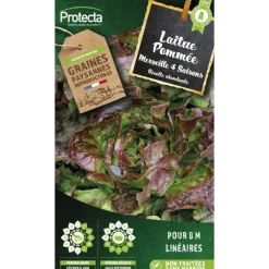 Protecta Graines De Légumes Et Aromatiques | - Graines paysannes - laitue merveille des 4 saisons
